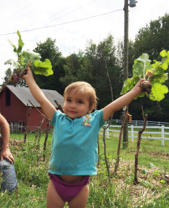 Cora_gardening